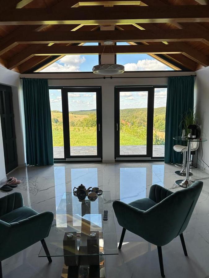 Casa Moderna In Sinteu - Intersectia Intre Modern Si Linistea Naturii Huta Voivozi Eksteriør billede